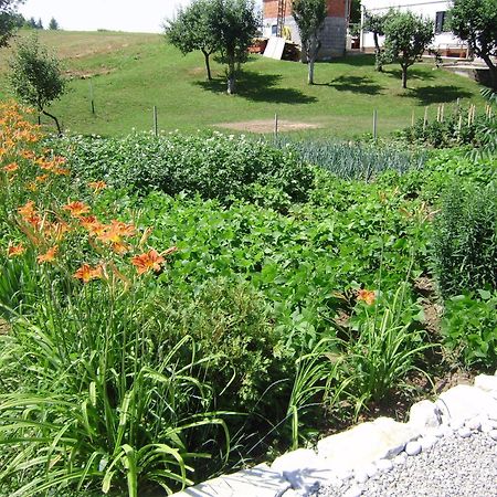 House Osana Otel Grabovac  Dış mekan fotoğraf