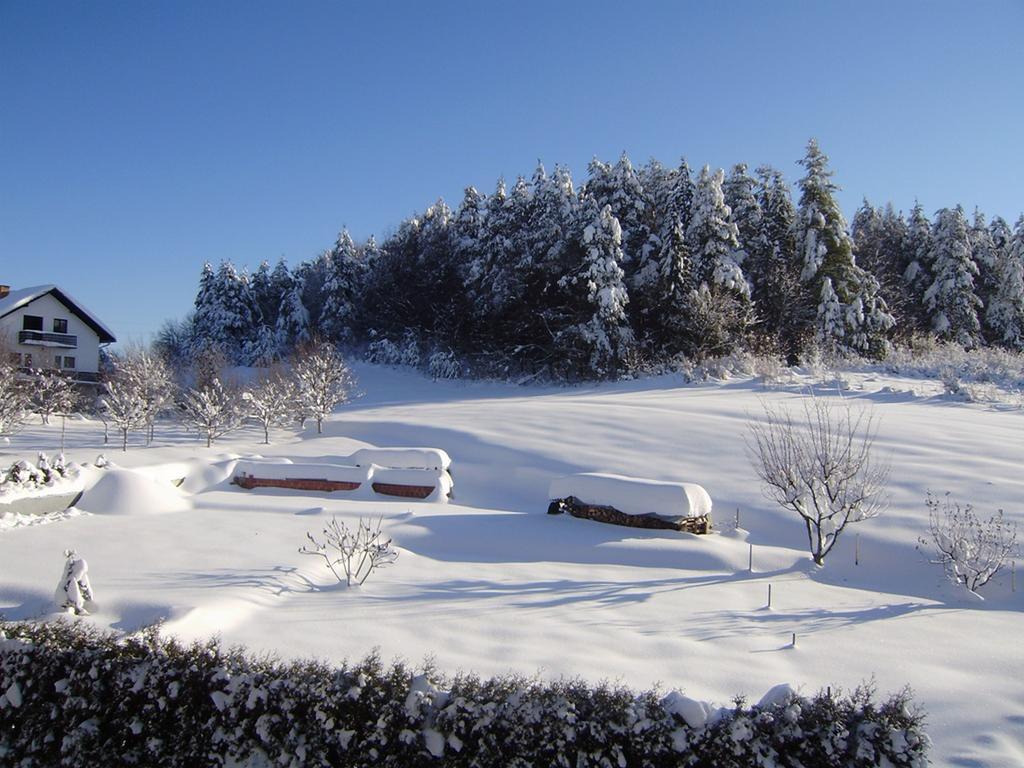 House Osana Otel Grabovac  Dış mekan fotoğraf